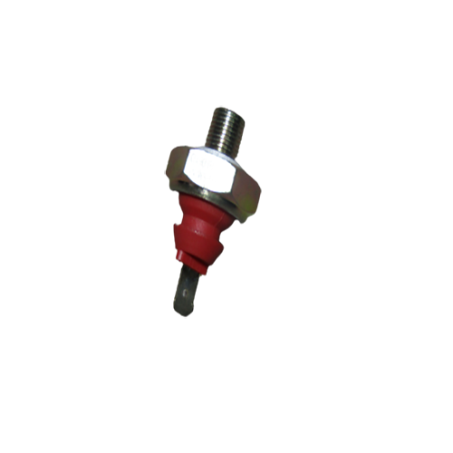 BULBO ACEITE - BERG-0061