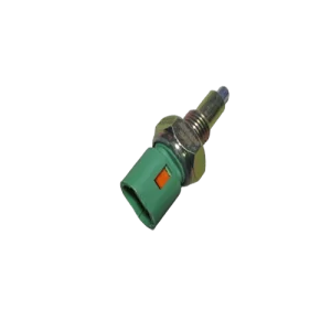 BULBO REVERSA - BERG-0096